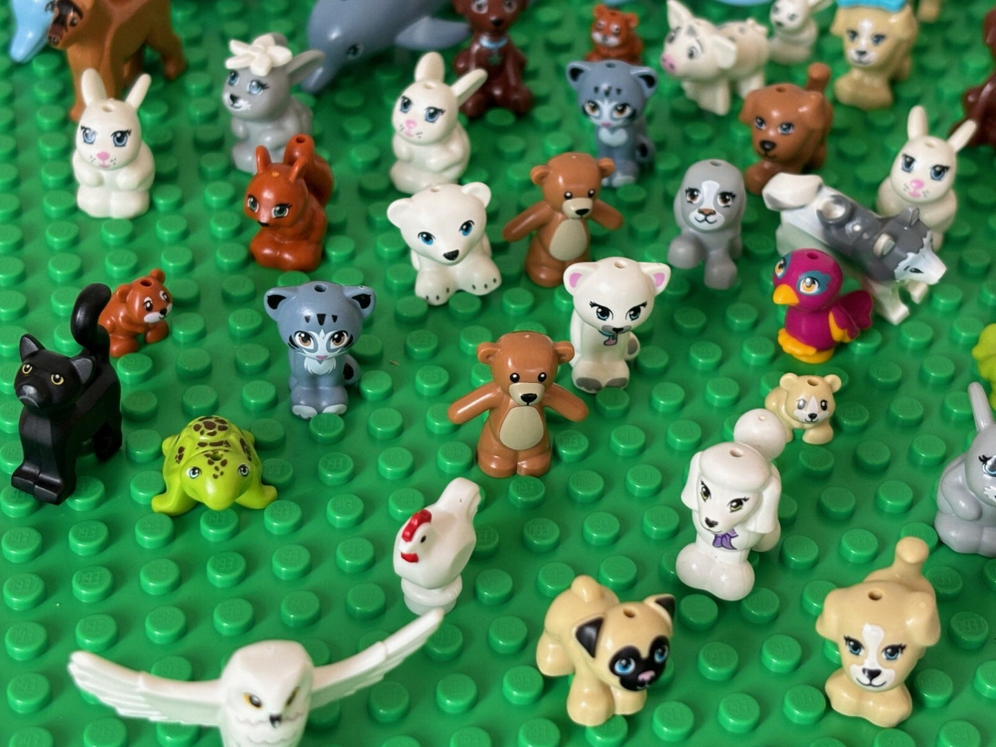 SHIPS FREE!! Lego LOT OF 12 Animal Figures Random Surprise Cat Dog etc Animals